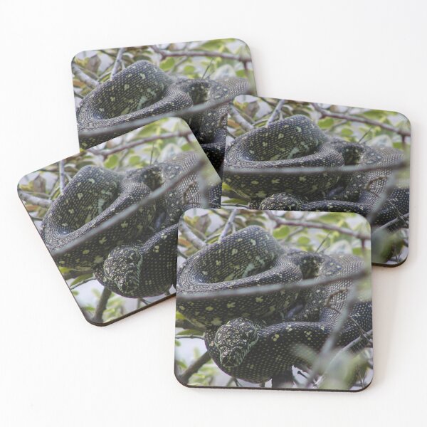 Item preview, Australian Diamond Python Watching From Tree designed and sold by MottoDigging.