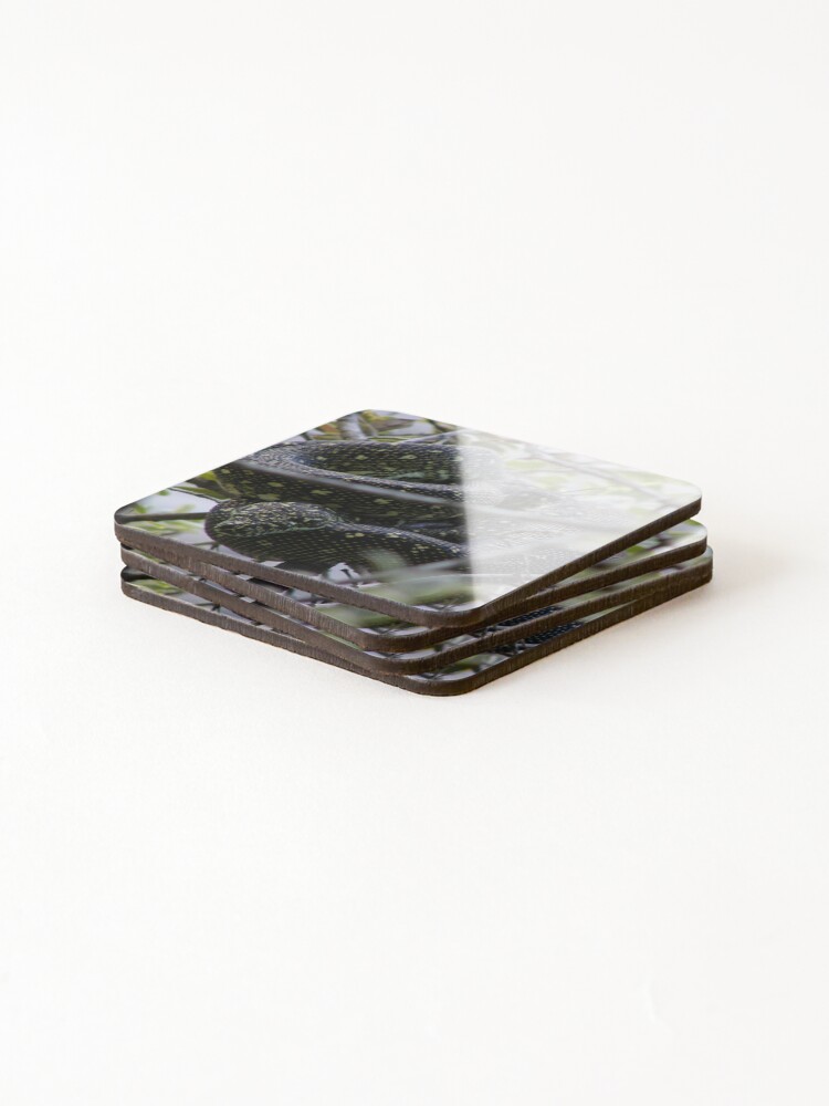 Thumbnail 4 of 5, Coasters (Set of 4), Australian Diamond Python Watching From Tree designed and sold by MottoDigging.