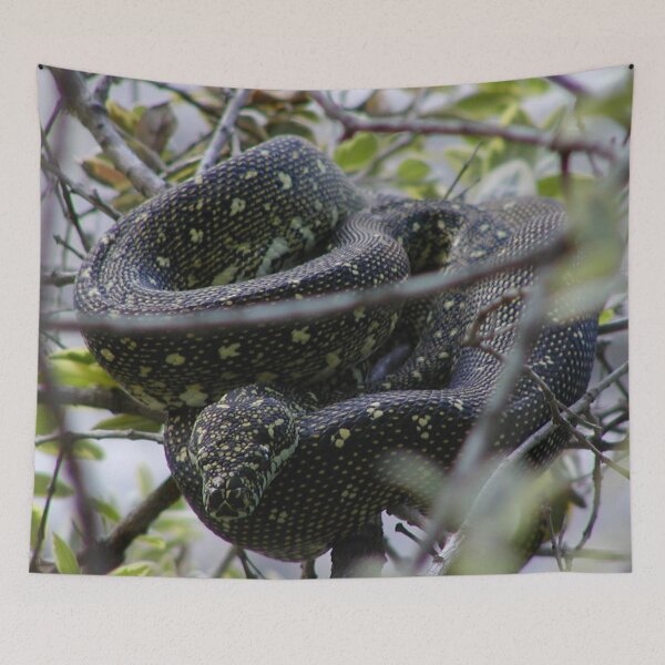 Item preview, Australian Diamond Python Watching From Tree designed and sold by MottoDigging.