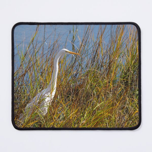 Item preview, Egret Relaxing in the Grass designed and sold by bwheeler.
