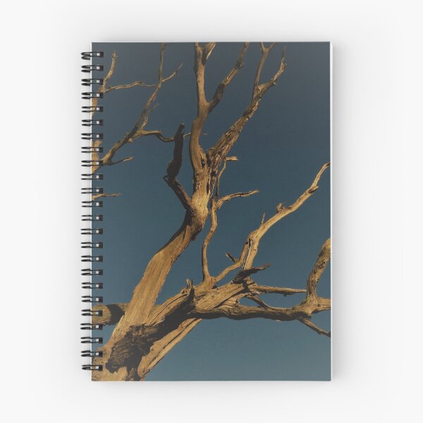 Item preview, The Old Tree designed and sold by wiggyofipswich.