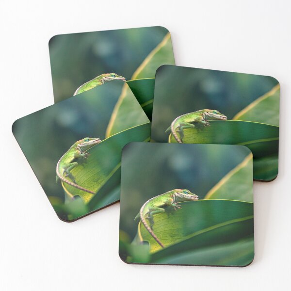 Item preview, Geko designed and sold by Alex Preiss.