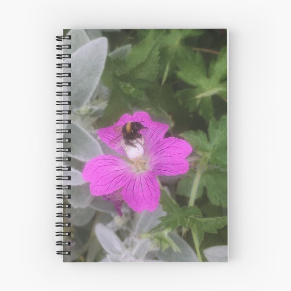 Item preview, The spider and the bumblebee designed and sold by Breurs.