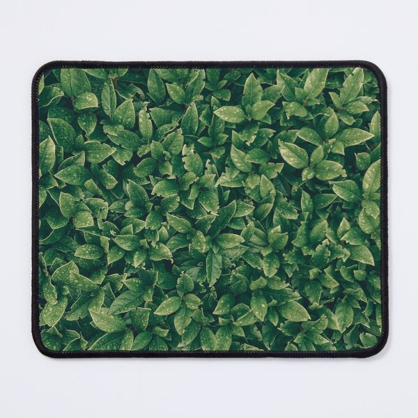 Item preview, Leaves , Cute Decoration Idea , Nature , Leaves designed and sold by BeTheVibe.