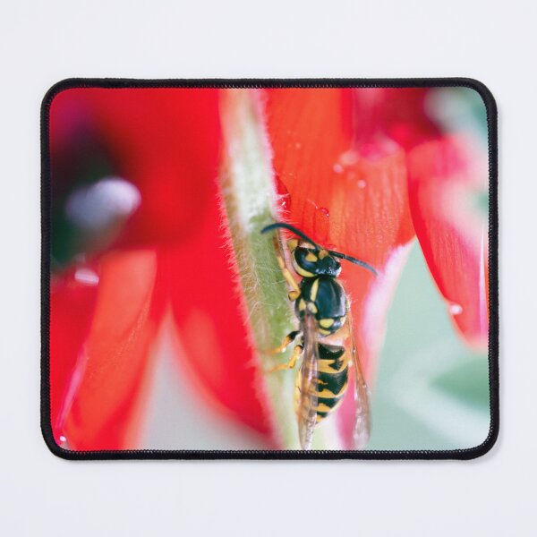 Item preview, European Wasp stops on the beautiful Sturt Desert Pea designed and sold by imaginethis.