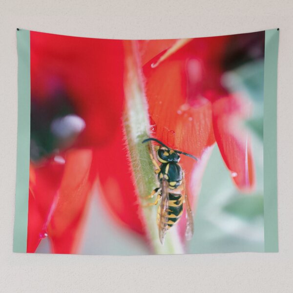 Item preview, European Wasp stops on the beautiful Sturt Desert Pea designed and sold by imaginethis.