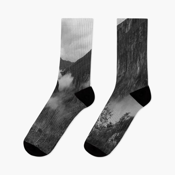 Item preview, View of forest at Odda, Norway designed and sold by NewPrint.