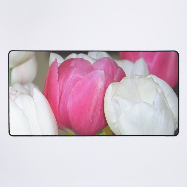 Item preview, We Can Grow Tulips Pink and White Tulips designed and sold by Jenie Yolland.