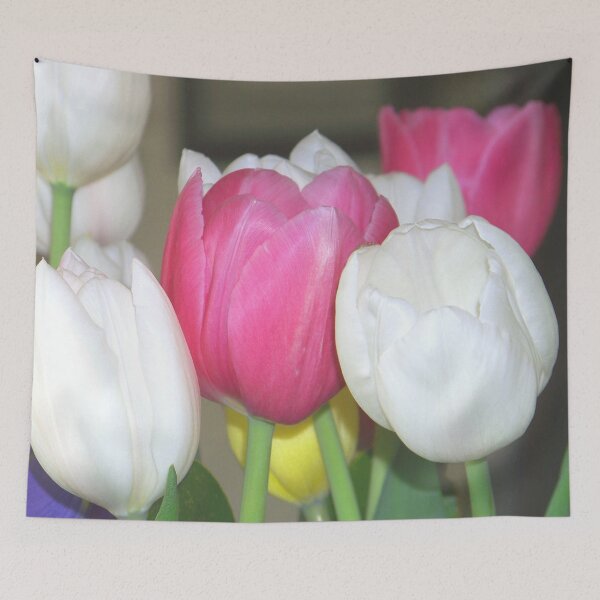 Item preview, We Can Grow Tulips Pink and White Tulips designed and sold by Jenie Yolland.