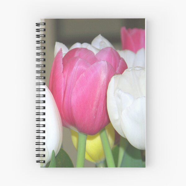 Item preview, We Can Grow Tulips Pink and White Tulips designed and sold by Jenie Yolland.