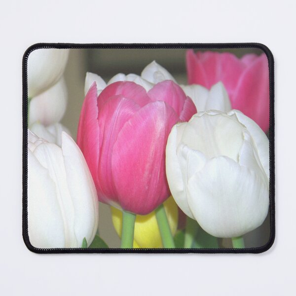 Item preview, We Can Grow Tulips Pink and White Tulips designed and sold by Jenie Yolland.
