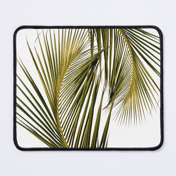 Item preview, Palm leaf/Coconut tree leaf designed and sold by VeenaNair23.