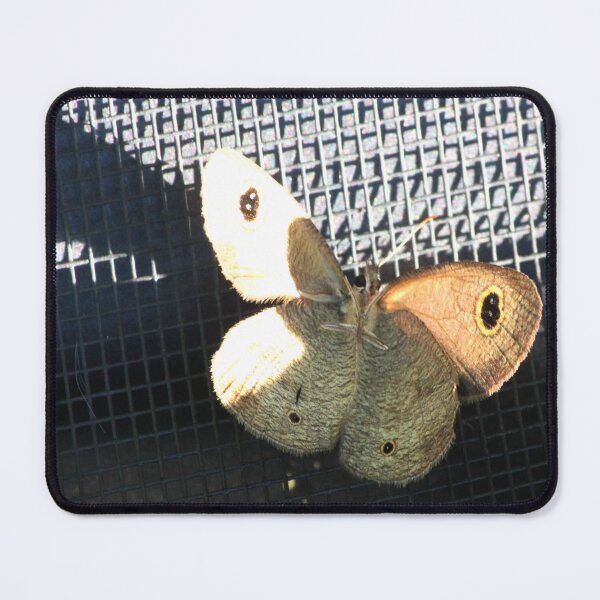 Item preview, Lepidoptera Butterfly or Moth? designed and sold by KazM.