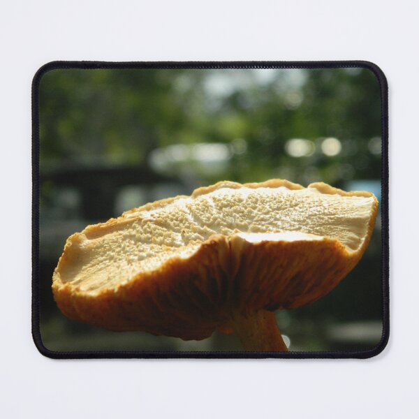 Item preview, orange fungus designed and sold by Daniela  Carrión.