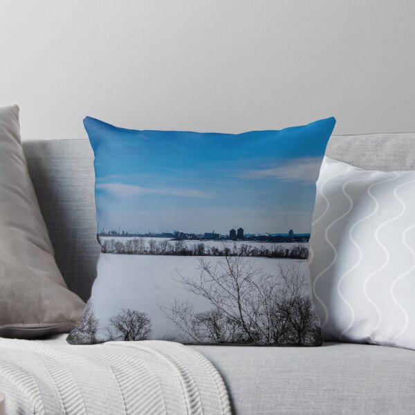 Item preview, Burlington Bay Frozen over 2022 designed and sold by SRosuphotos.