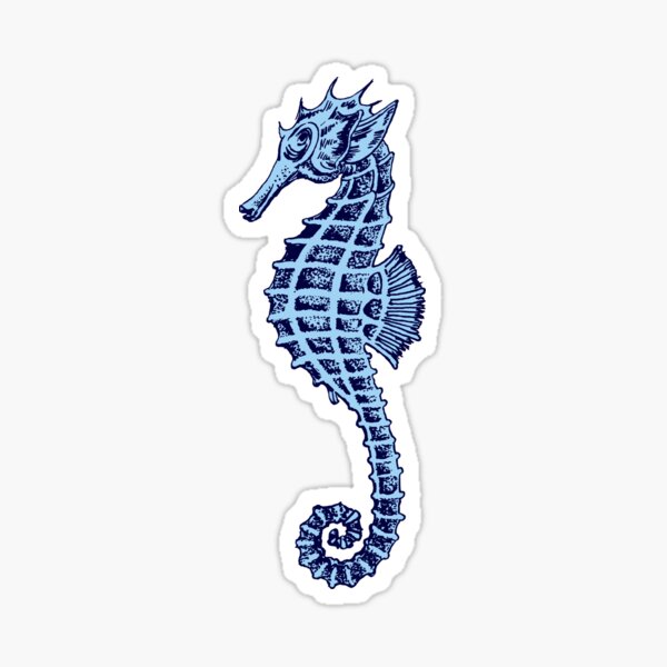 Marine seahorse tattoo