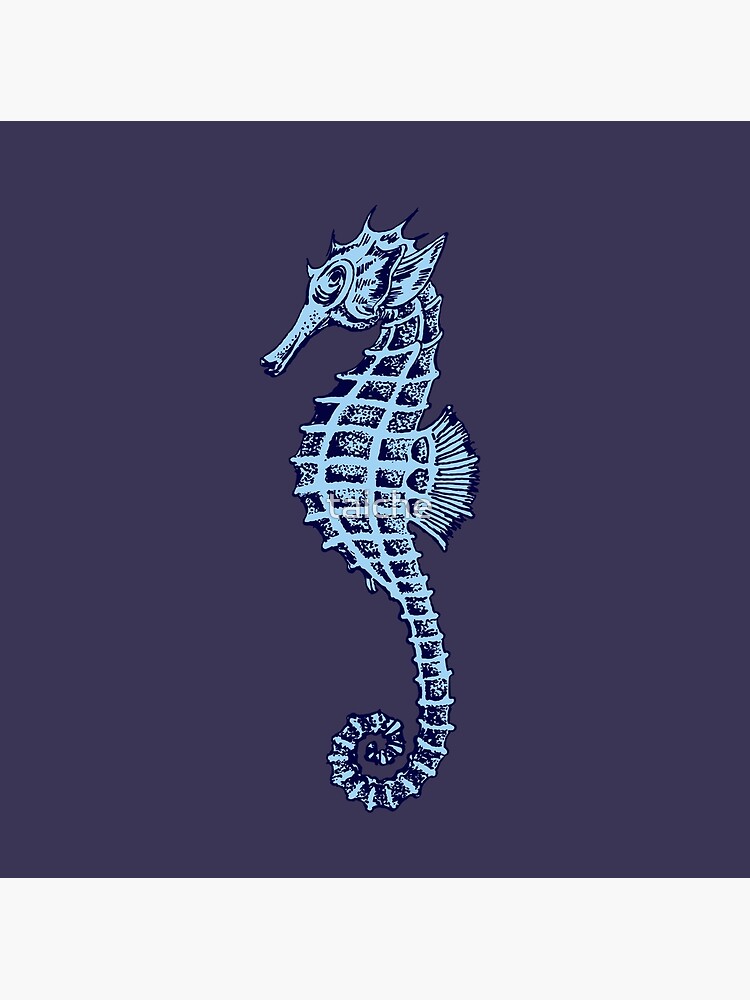 Seahorse Seahorses Sea Horse Sea Ocean Fish Tank Scuba Diving Dive Diver  Underwater Swim Cute Art Vintage Design Logo Color Symbol Clipart SVG –  ClipArt SVG