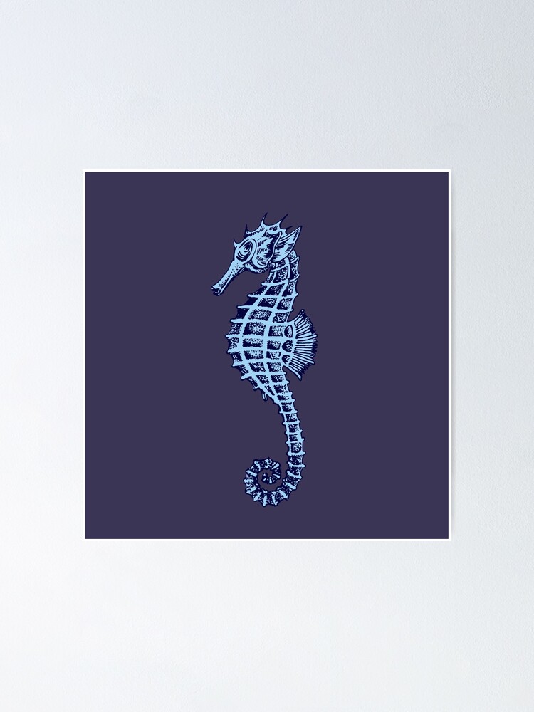 Seahorse vector Stock Images - Search Stock Images on Everypixel