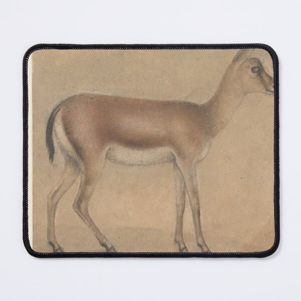 Artikelvorschau, Eine Gazelle aus dem frühen 15. Jahrhundert, Kreis von Michelino da Besozzo, Zeichnung, Malerei, Kunst, Poster, europäische Kunst, Galerie, Vintage entworfen und verkauft von OakTreeDesign.