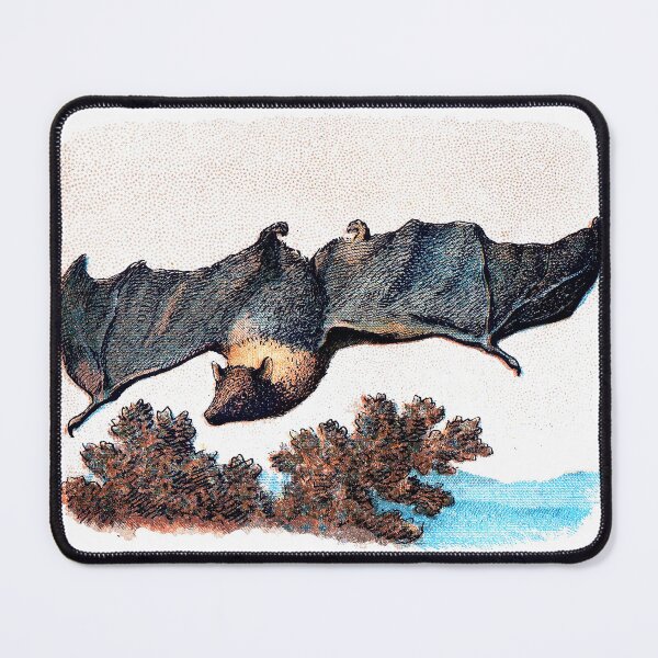 Item preview, Flying Bat designed and sold by honeyblack.