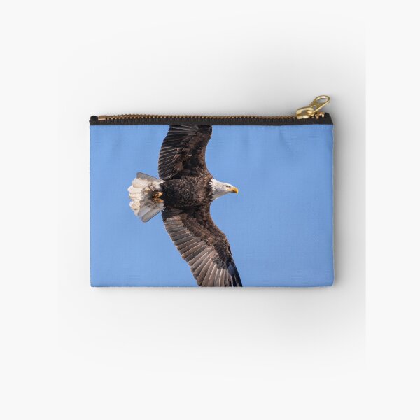 Item preview, Bald Eagle 2019-20-1 designed and sold by Thomasyoung.