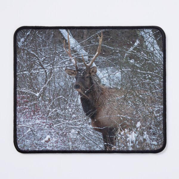 Item preview, Bull Elk in a Snow Storm designed and sold by KC-IM.
