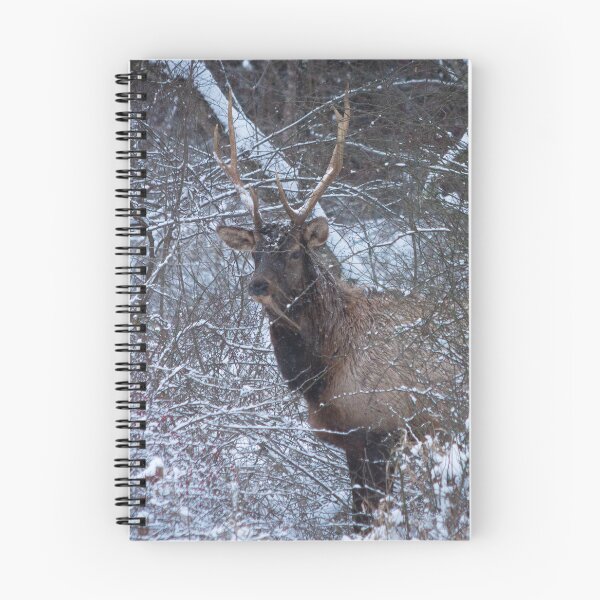 Item preview, Bull Elk in a Snow Storm designed and sold by KC-IM.