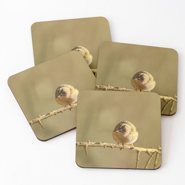 Item preview, Little winter birds  designed and sold by miradorpictures.
