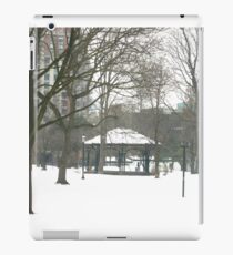 Winter scene iPad Case/Skin