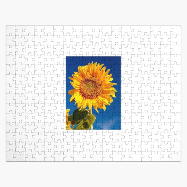 Artikel-Vorschau von Sonnenblume des blauen Himmels, designt und verkauft von Creative photos and art.