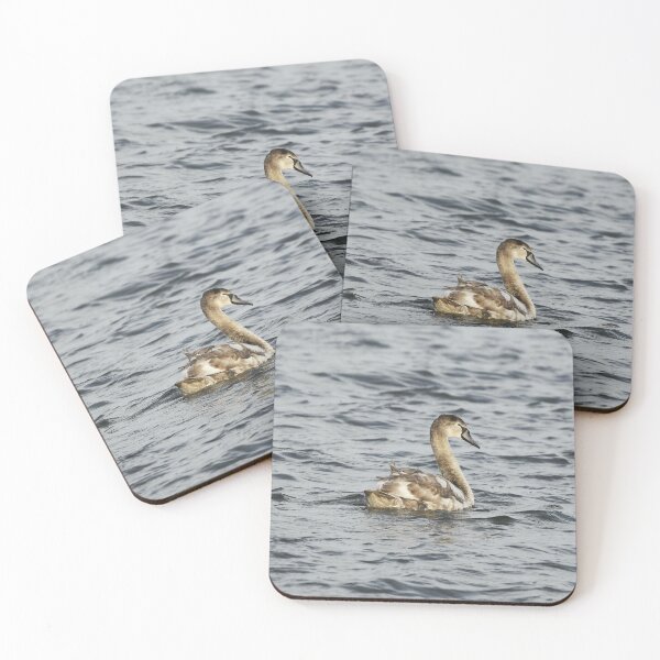 Item preview, Young Swan on a Lake designed and sold by rwhooster.