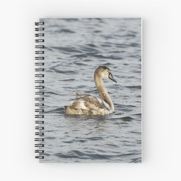 Item preview, Young Swan on a Lake designed and sold by rwhooster.