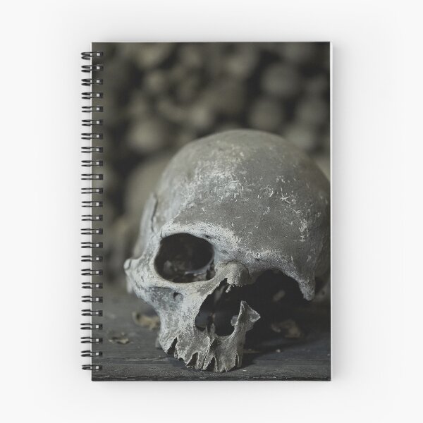 Item preview, Sedlec Ossuary Skulls Photo Art, Human Bone Church Mystery Skulls Art, Halloween Skull designed and sold by Sedlec Ossuary Project.