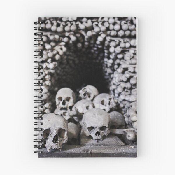 Item preview, Sedlec Ossuary Skulls Photo Art, Skull Bone Church designed and sold by Sedlec Ossuary Project.