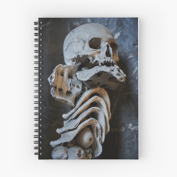 Item preview, Sedlec Ossuary Monstrance Photo Art, Skull Bone Church designed and sold by Sedlec Ossuary Project.