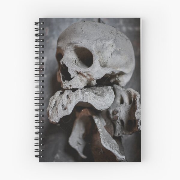 Item preview, Sedlec Ossuary Monstrance Photo Art, Skull Bone Church designed and sold by Sedlec Ossuary Project.