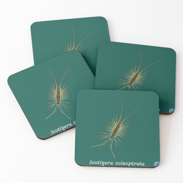 Item preview, Scutigera coleoptrata designed and sold by Zugai.