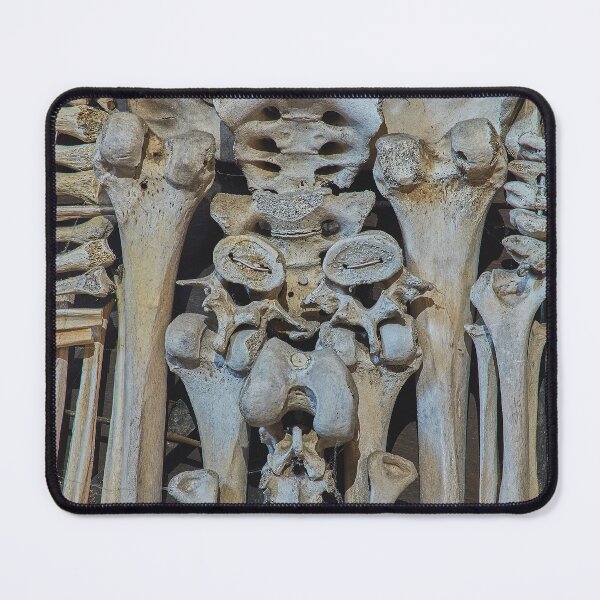 Item preview, Sedlec Ossuary Coat of Arms Photo Art, Skull Bone Church designed and sold by Sedlec Ossuary Project.