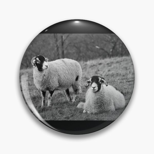Item preview, Swaledale Sheep, Yorkshire Dales designed and sold by heidipics.