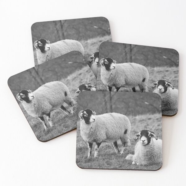 Item preview, Swaledale Sheep, Yorkshire Dales designed and sold by heidipics.