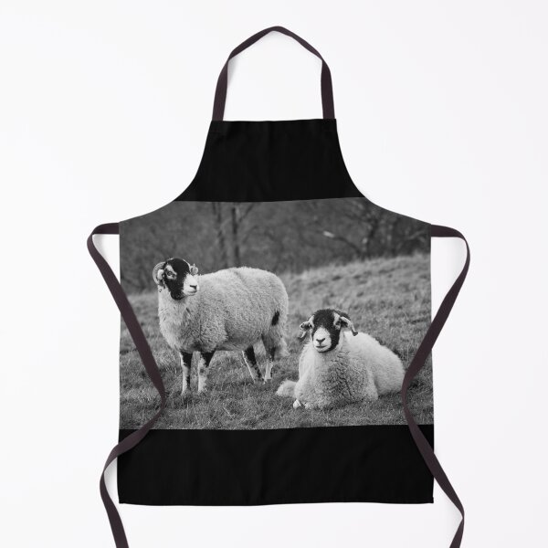 Item preview, Swaledale Sheep, Yorkshire Dales designed and sold by heidipics.