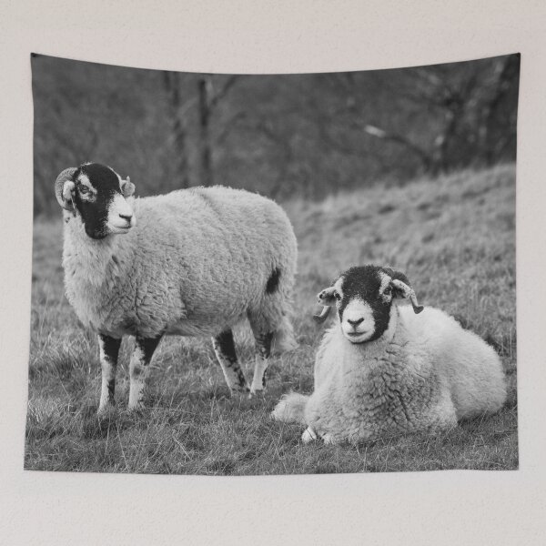 Artikelvorschau, Swaledale Sheep, Yorkshire Dales entworfen und verkauft von heidipics.