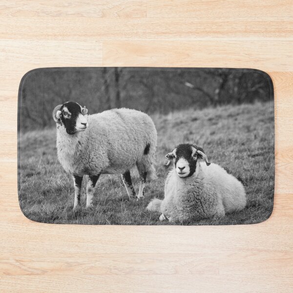 Item preview, Swaledale Sheep, Yorkshire Dales designed and sold by heidipics.