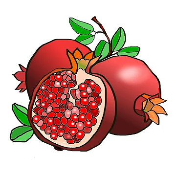 Artwork thumbnail, Pomegranates by SpringForever