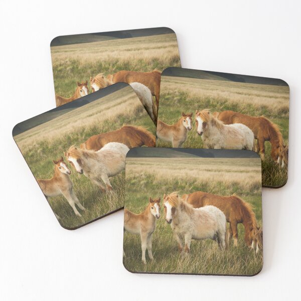 Item preview, A Family of Ponies designed and sold by heidipics.