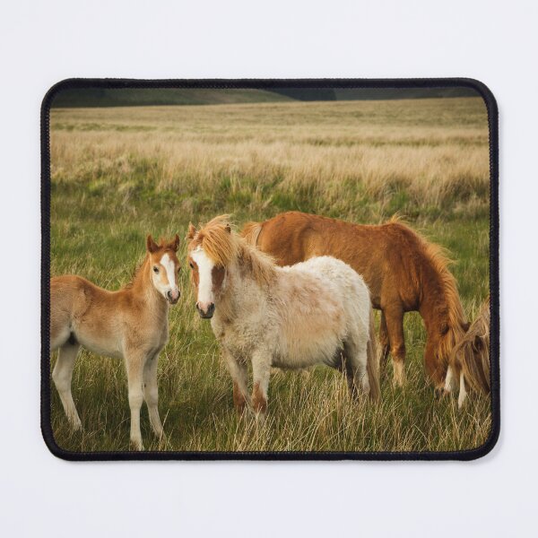 Item preview, A Family of Ponies designed and sold by heidipics.