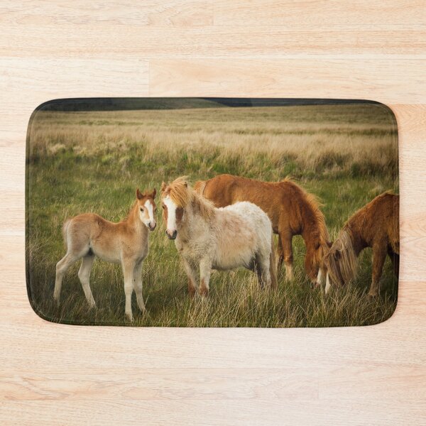 Item preview, A Family of Ponies designed and sold by heidipics.