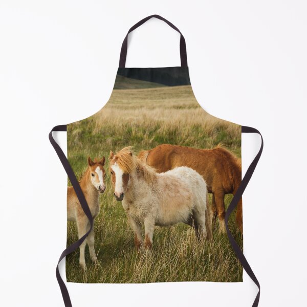 Item preview, A Family of Ponies designed and sold by heidipics.