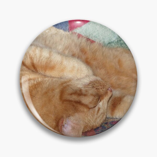 Item preview, Ginger Cat Napping designed and sold by Frankie Cat Photography.