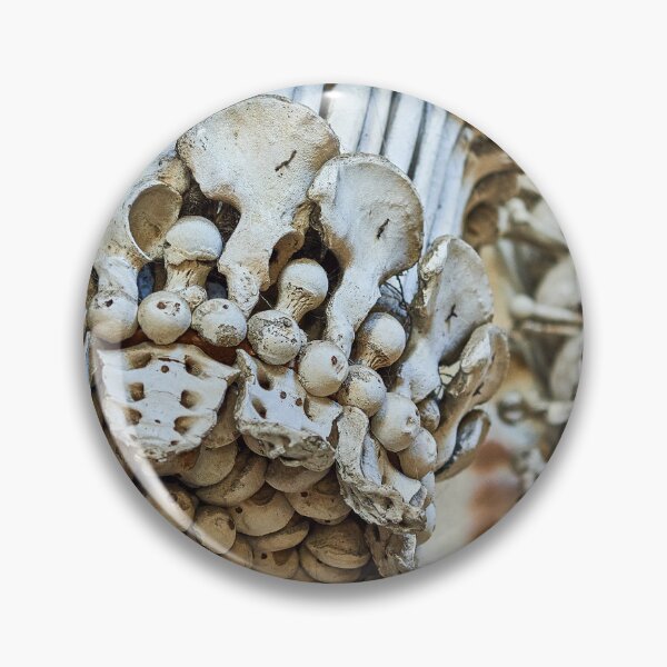 Item preview, Sedlec Ossuary Chalice, Czech Republic Bone Church designed and sold by Sedlec Ossuary Project.